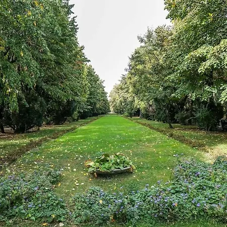 Birds' Nest - 2bdr - Cismigiu * ブカレスト